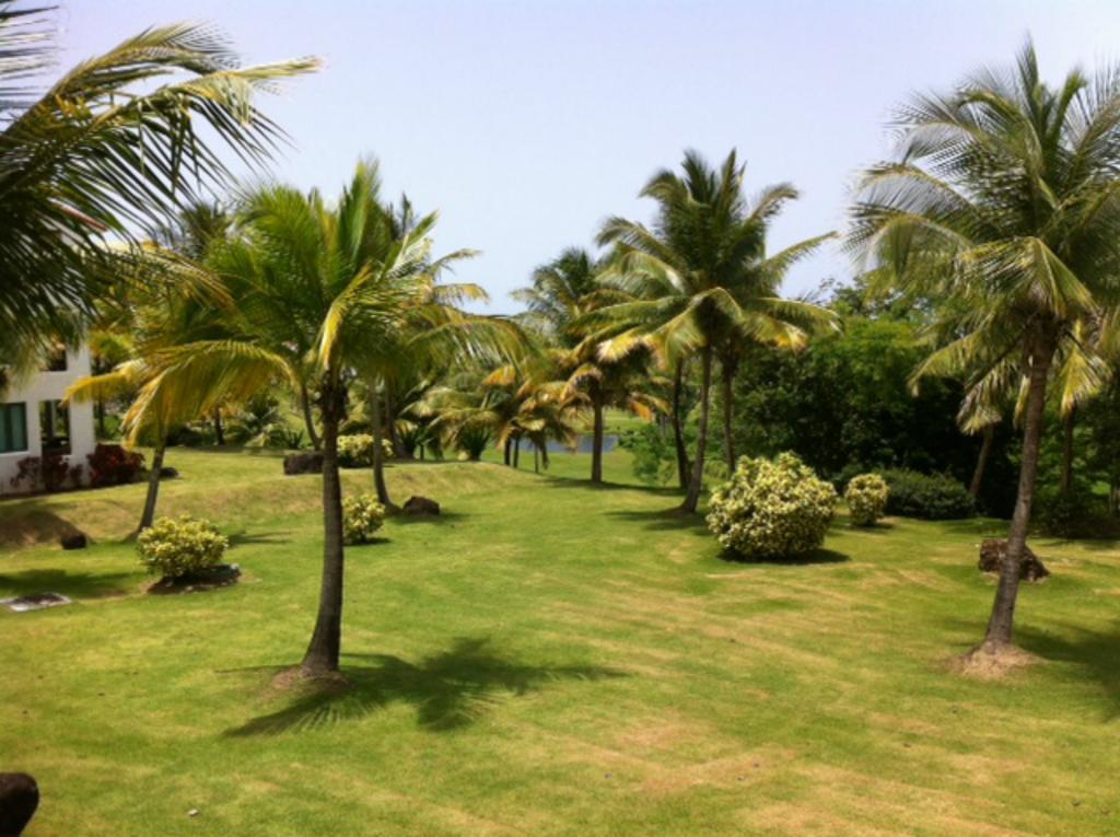 Rio Mar Village - Golf Course View Río Grande Exterior foto